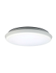 AL 08