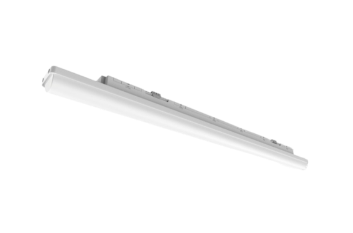 קשת M6